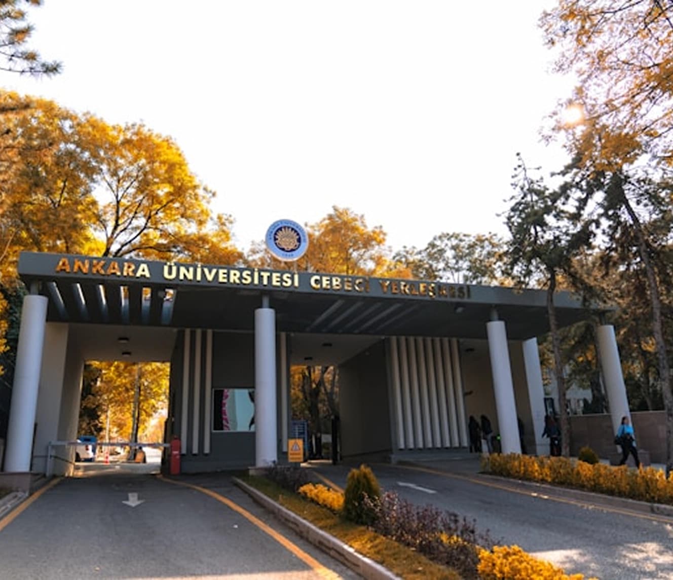 Universities
